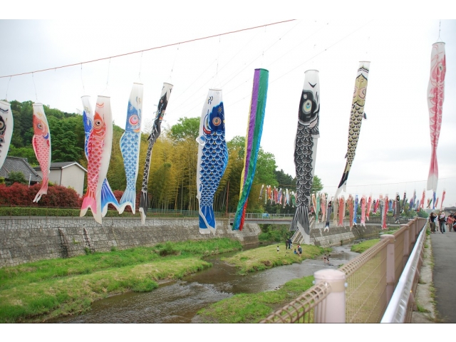 清掃できれいになった鶴見川