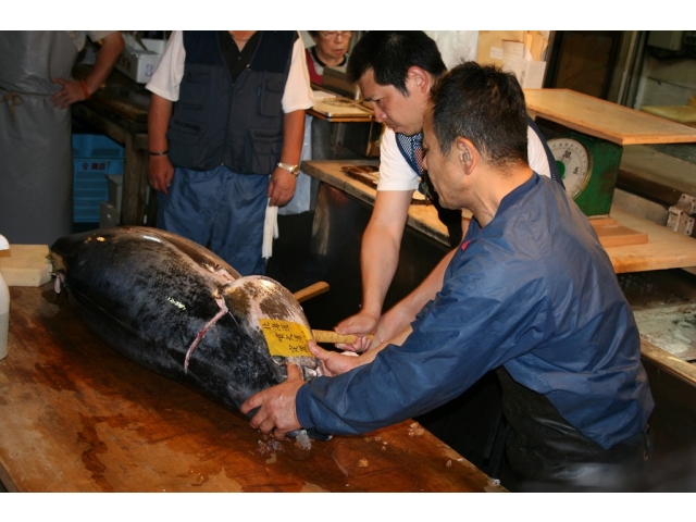3人がかりでマグロを捌く