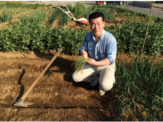 そり菜園　うね作り