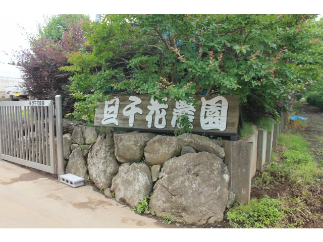 立派な農園の入り口