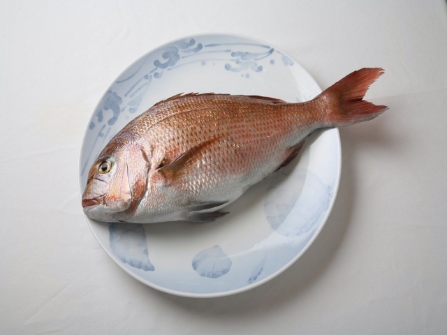 高知県産「海援鯛」