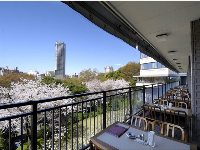 上野の桜を望むテラス席
