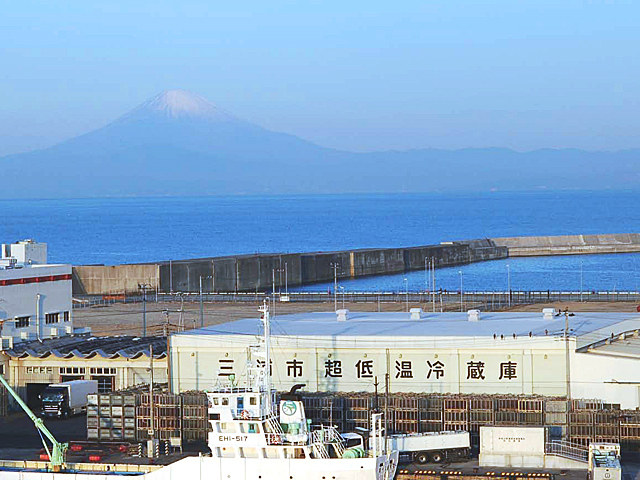 三崎港の早朝、湾のむこうには富士山がそびえる