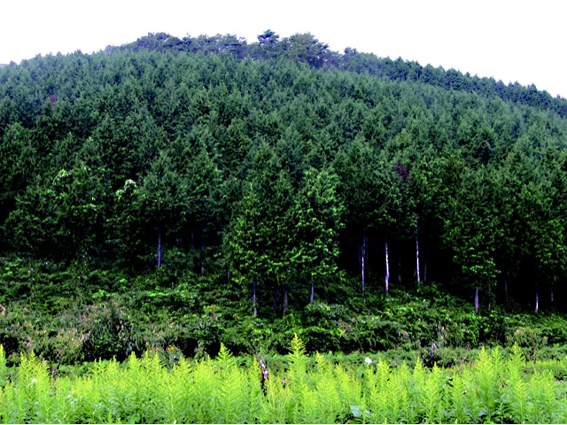 標高469.5mの噴火口が残っている神鍋山