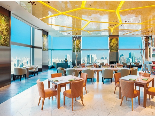 「All-Day Dining Oasis Garden」