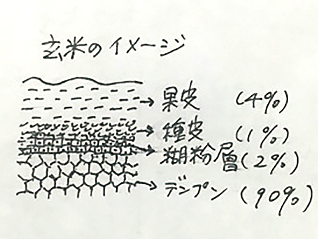 玄米のイメージ